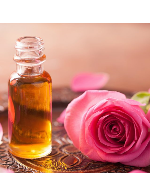 Rose Essential Oil – Classic Floral Aromatherapy Oil for Emotional Balance